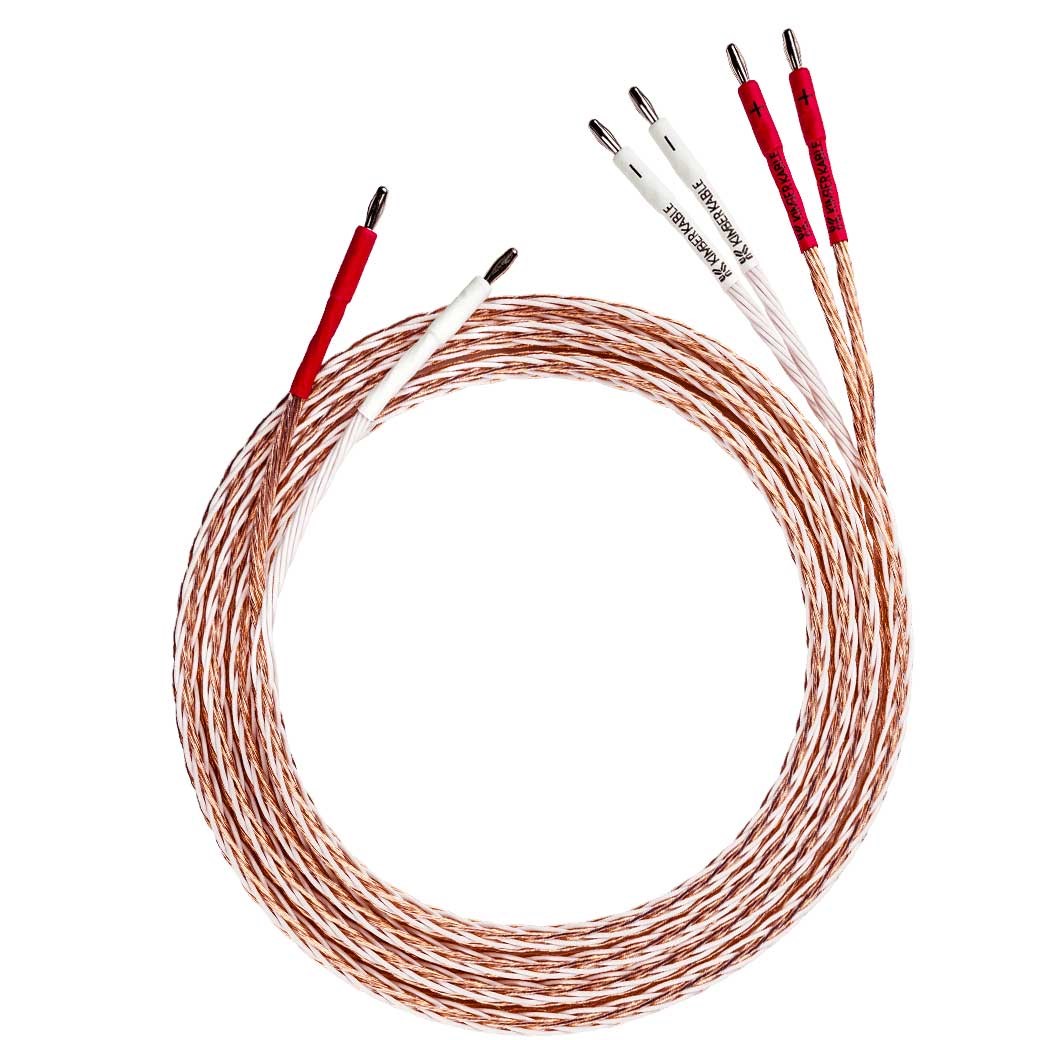 8TC - Image 3